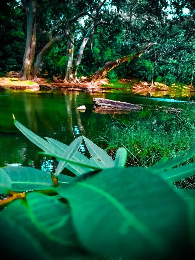 Lake Front Yala Safari Kataragama Kültér fotó