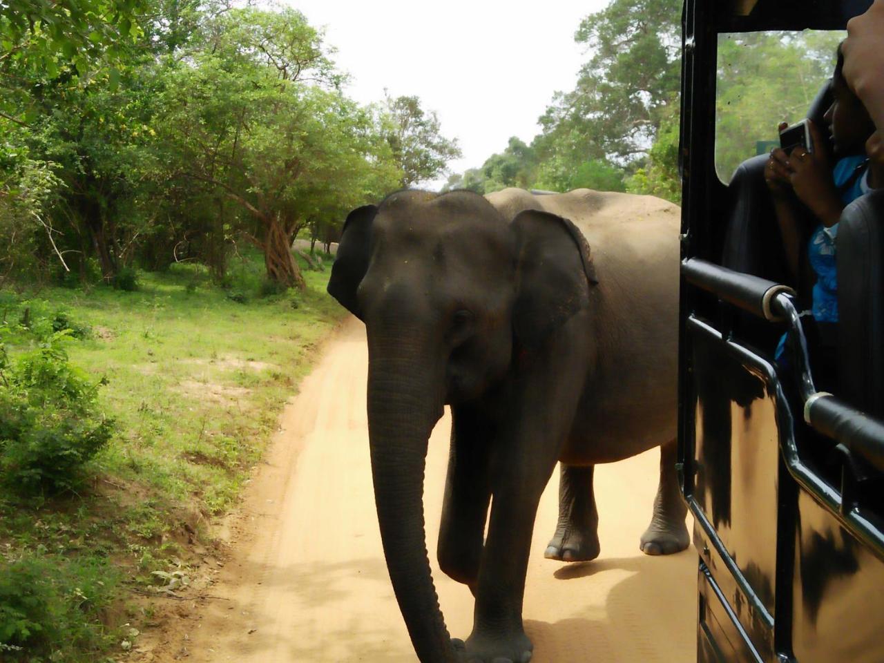 Lake Front Yala Safari Kataragama Kültér fotó